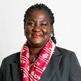 Ms. Elizabeth Obeng (FCA) - Director of Internal Audit